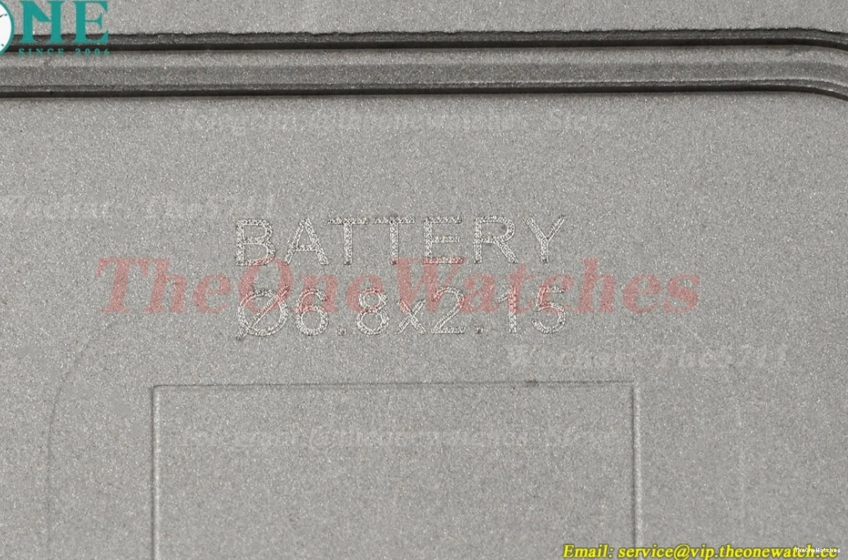 LE AF Dumont RG Silver Dial Brown Santos Quartz 1203